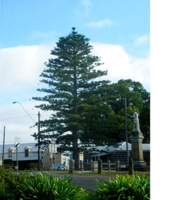 Photograph - The Peace Tree, Mortlake
