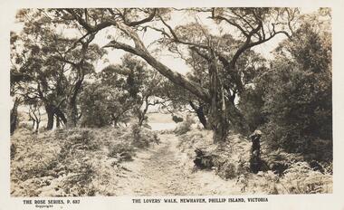 Sepia Photograph, 1920