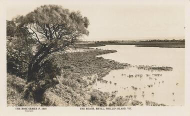 Sepia Photograph, 1920