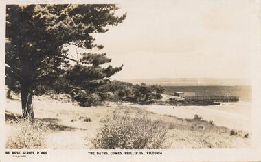 Sepia Photograph, 1920