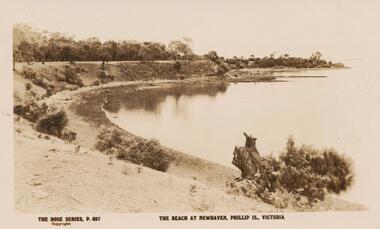Sepia Photograph, 1920's