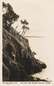 Sepia Photograph, 1920's