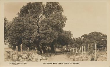 Sepia Photograph, 1920's