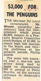 Newspaper Clipping, 31/11/1968