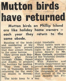 Newspaper Clipping