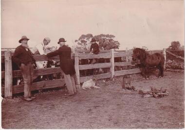 Photograph, Shetland Heights, 1890's