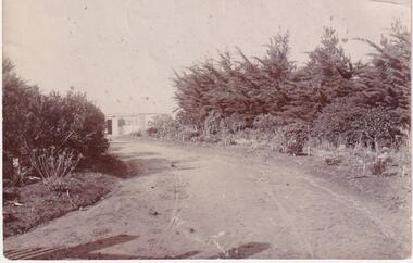 Photograph, Shetland Heights, 1890's