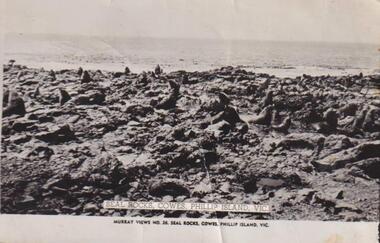 Photograph, Seal Rocks, Phillip Island