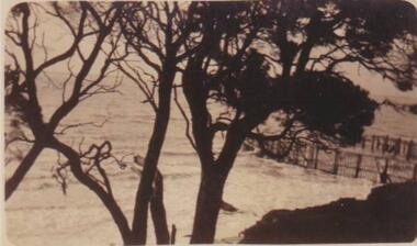 Photograph, Cowes Sea Baths, Phillip Island