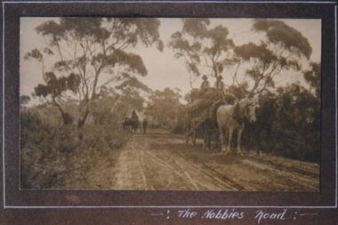 Photograph, Hay carting, The Nobbies Road, Phillip Island, c 1913