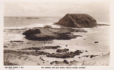 Photograph, The Nobbies, Phillip Island, c 1926