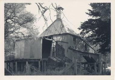 Photograph, 1960's