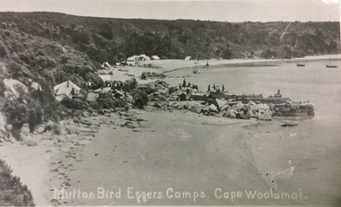 Photograph, Mutton Bird Eggers' Camps, Cape Woolamai