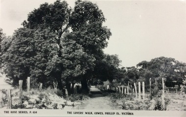 Photograph, Lovers' Walk, Cowes