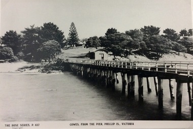Photograph, Cowes from the pier