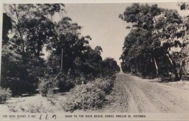 Photograph, Road to Back Beach, Cowes