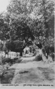 Photograph, The Lovers' Walk, Cowes