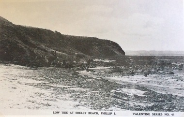Photograph, Low tide at Shelly Beach