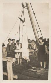 Photograph, Shark catch on Pier