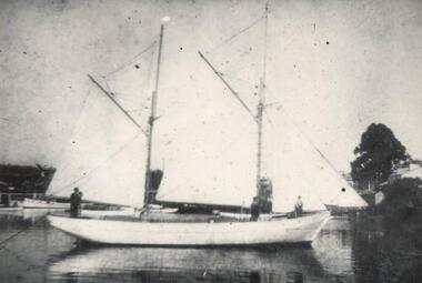 Photograph