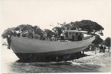 Photograph