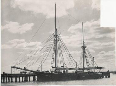 Photograph