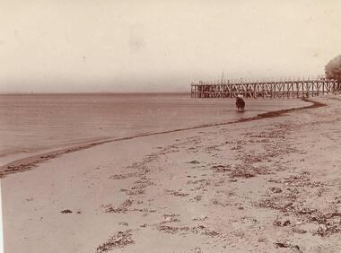 Photograph, 1895
