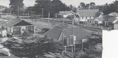 Photograph