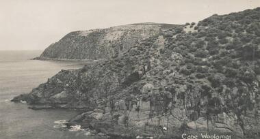 Photograph, Bryant West