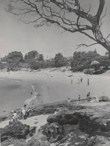 Photograph