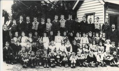 Photograph