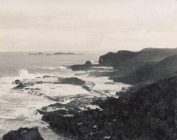 Photograph