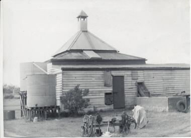 Photograph