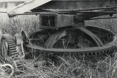 Photograph