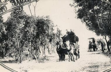 Photograph, 1900