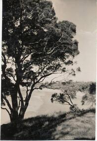 Photograph, Bryant West