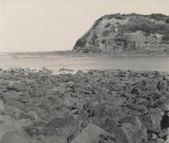 Photograph