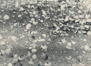 Photograph, c. 1800