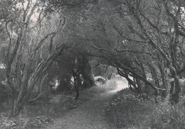 Photograph, Bryant West