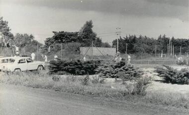 Photograph, c. 1960
