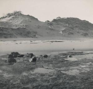 Photograph