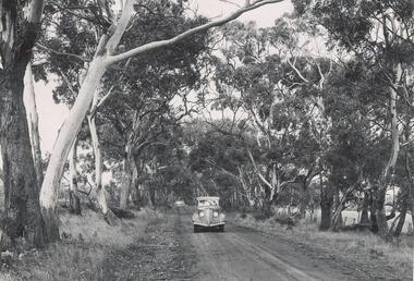 Photograph, Bryant West, 1930