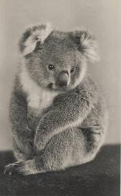 Photograph, Bryant West