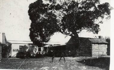Photograph, Bryant West