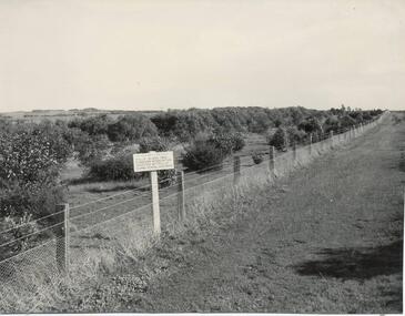 Photograph, Bryant West, 1959