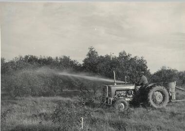 Photograph, Bryant West