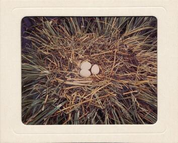 Photograph, Bryant West et al