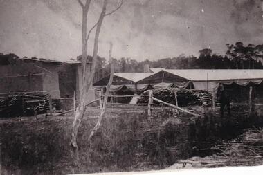 Photograph, Anderson Family, 1869