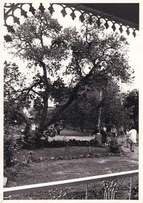 Photograph, Anderson Family