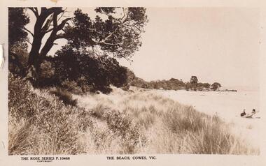 Photograph
